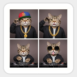 Hip-Hop Cat Photo Poses Photo Collage Sticker